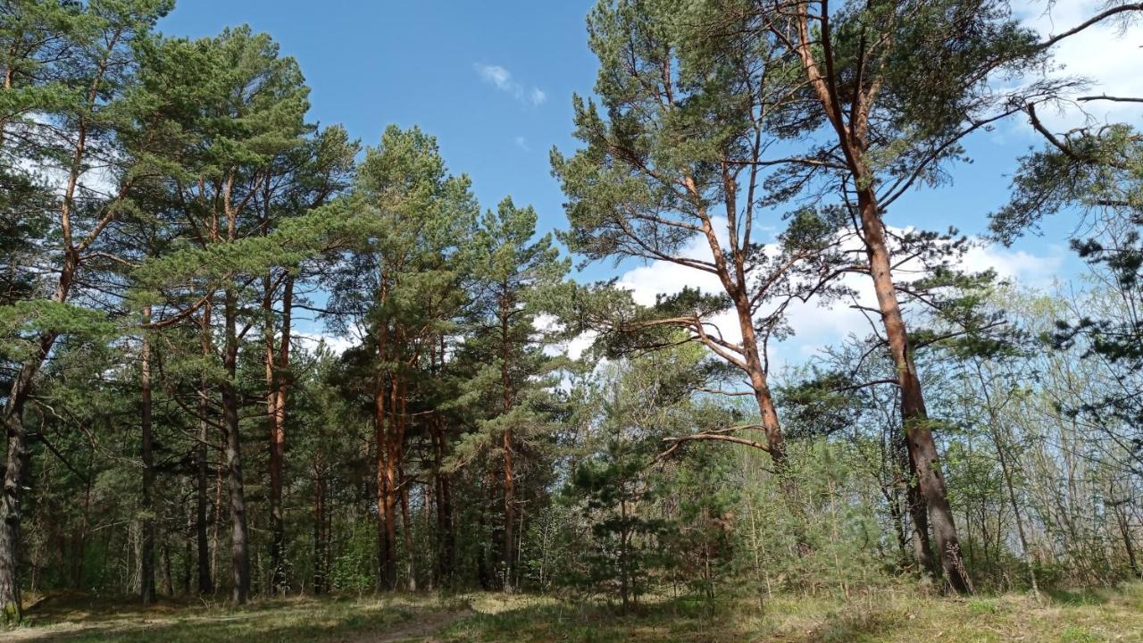 House, Garden & Sauna. Free Parking. Train Stop-200 M. Sea-1 Km. Jurmala Exterior photo